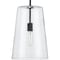 Progress Lighting Clarion Collection Black One-Light Medium Pendant P500242-031 - alternate 1